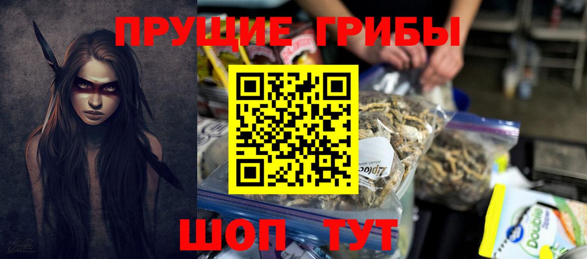 Краснотурьинск  продажа наркотиков  Вход с VPN  Псилоцибиновые грибы Cubensis 