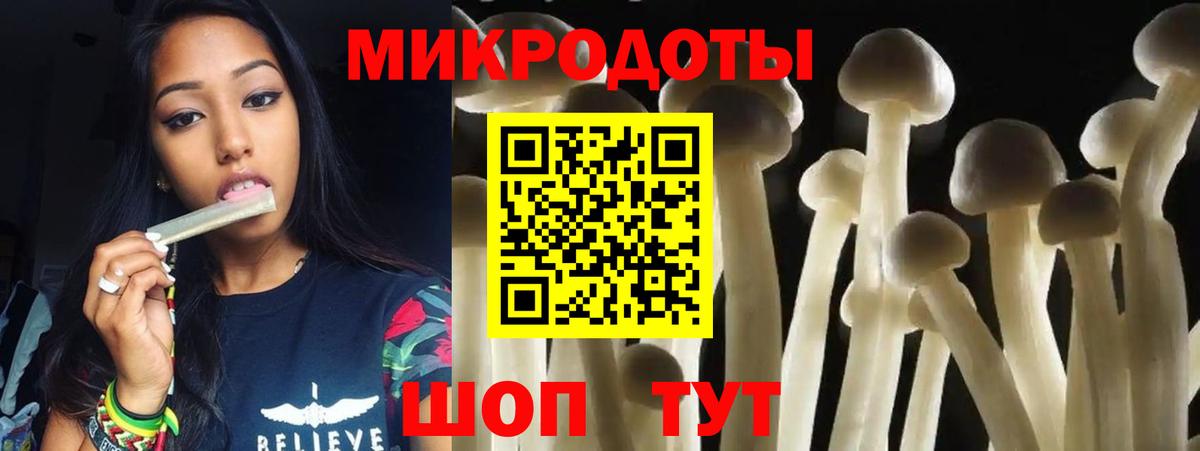 ГАШ Краснотурьинск